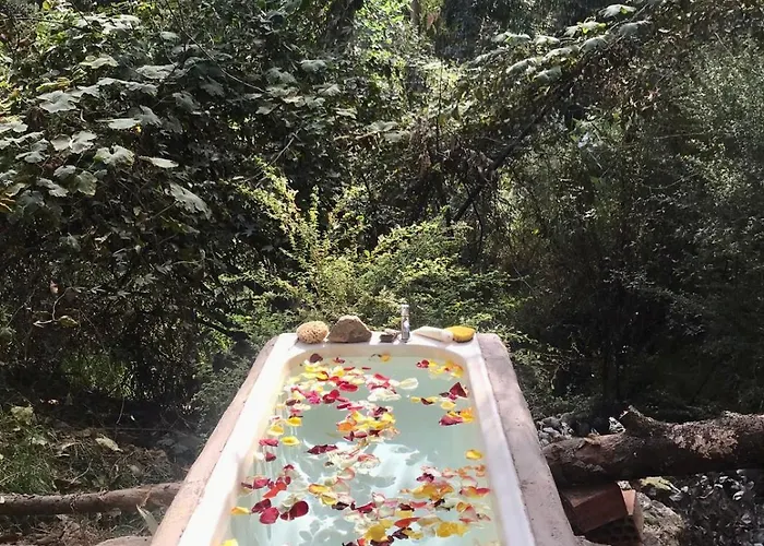 Casita Río Floresta