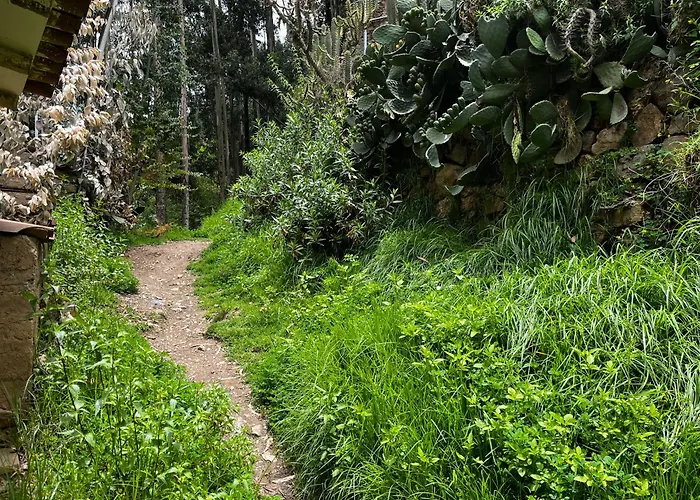 Casita Río Floresta * Pisac