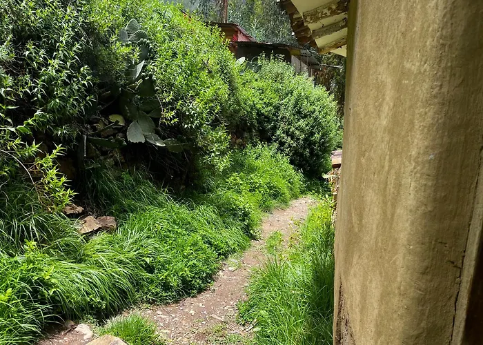 Casita Río Floresta