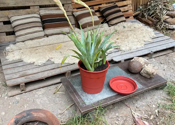 Casita Río Floresta